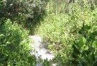 Sylvania Waterssustainable-landscaping-16.jpg; ?>